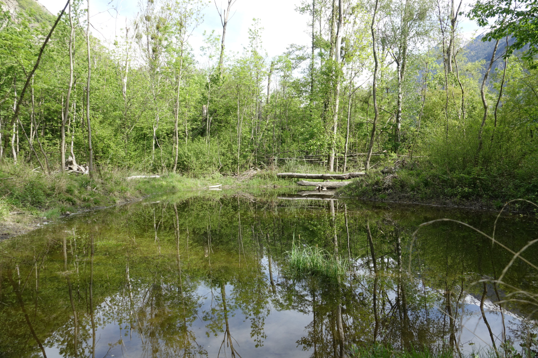 L’équilibre est réussi entre la production énergétique et la protection de la nature à Nant de Drance